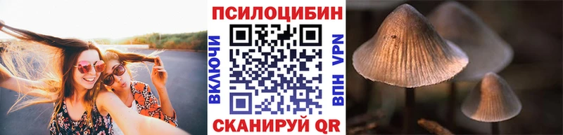 как найти закладки  Петухово  Псилоцибиновые грибы Psilocybine cubensis 